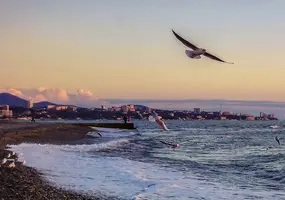 Зимой в Сочи у моря!